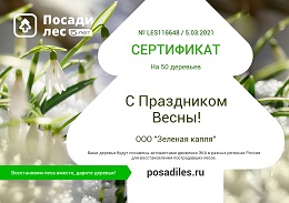 Приняли участие в проекте «Посади лес»